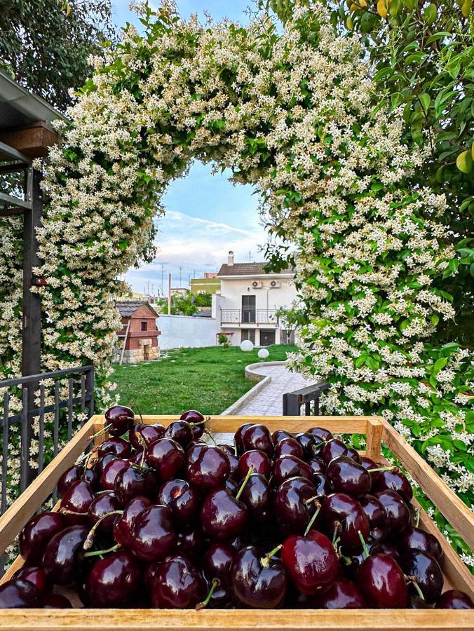Villa Ardigo - Camera O Appartamento Bari Esterno foto